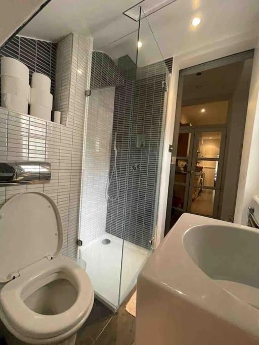 Large Studio Flat In Kensington London Exteriör bild